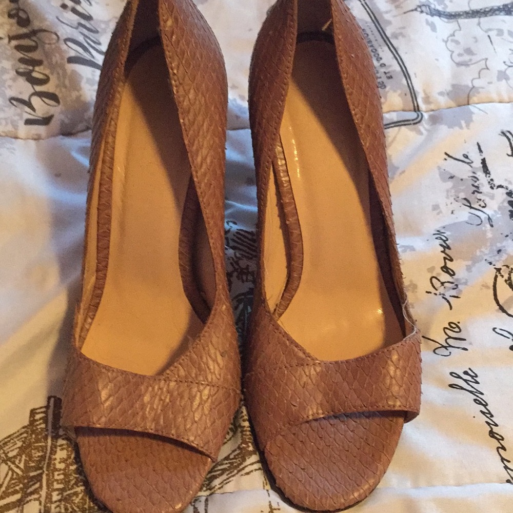 Talbots heals - Picture 3 of 3